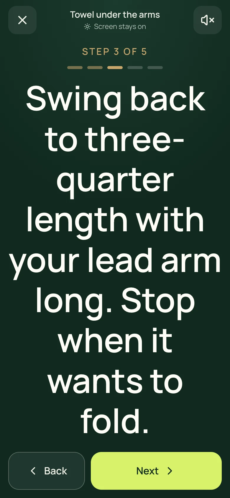 The app’s Towel under the arms guide at Step 3 of 5: “Swing back to three-quarter length with your lead arm long. Stop when it wants to fold.” Separate interface example with sample data.